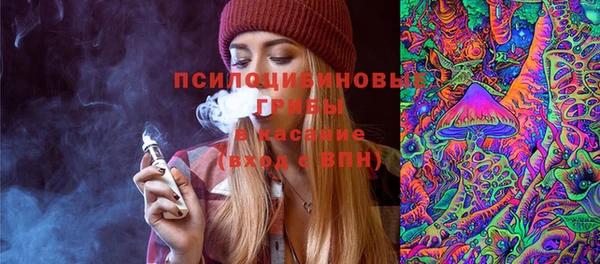 стаф Инсар