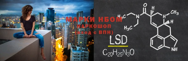 стаф Инсар