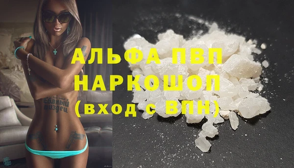 стаф Инсар
