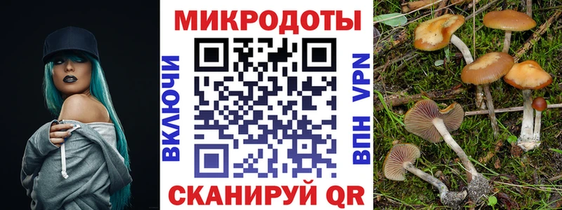Псилоцибиновые грибы Magic Shrooms  Купить  Урюпинск 